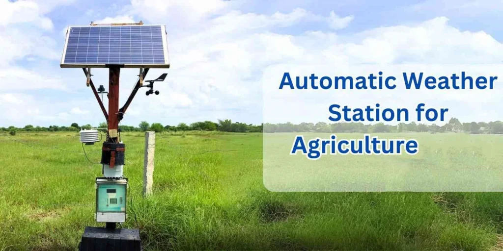 AWS Weather Station: Real-Time Environmental Monitoring Solutions